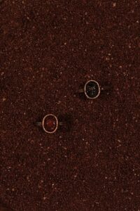 iolom 2025 Order Exhibition −新作発表展−